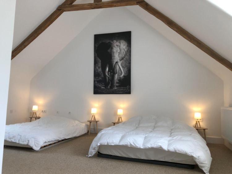 Merveilleux Cottage Dans Parc De 7,5 Hectares Saint-Nicolas-du-Pélem Exteriér fotografie