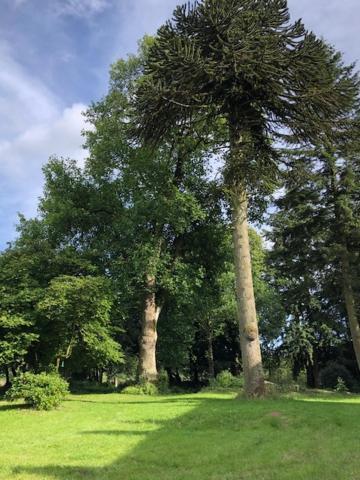 Merveilleux Cottage Dans Parc De 7,5 Hectares Saint-Nicolas-du-Pélem Exteriér fotografie