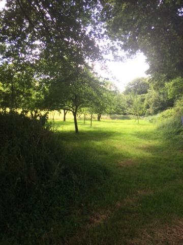 Merveilleux Cottage Dans Parc De 7,5 Hectares Saint-Nicolas-du-Pélem Exteriér fotografie