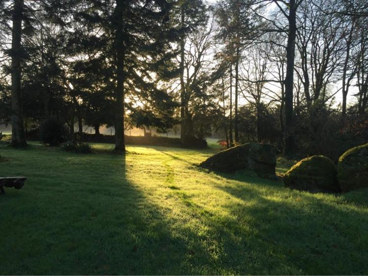 Merveilleux Cottage Dans Parc De 7,5 Hectares Saint-Nicolas-du-Pélem Exteriér fotografie